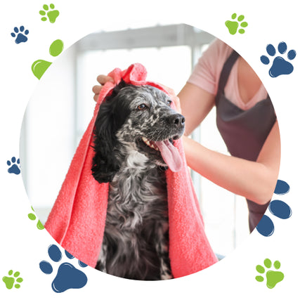 Self WashHappy black and white dog being dried with a pink towel by a groomer. The dog is panting joyfully, surrounded by blue and green paw prints.