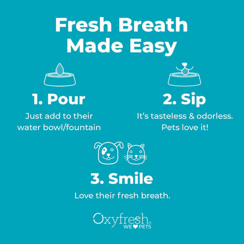 Oxyfresh Premium Pet Dental Water Additive | Easiest Way to Eliminate Dog and Cat Bad Breath (16 oz)