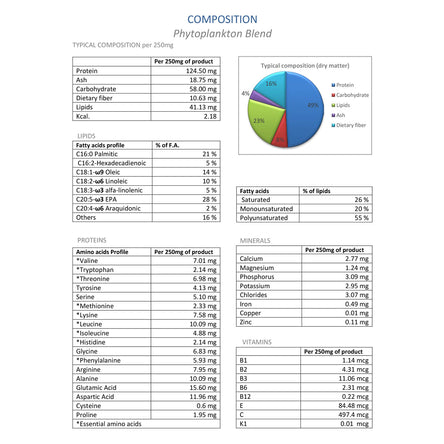 Adored Beast Phyto Synergy | Super Antioxidant (15g)