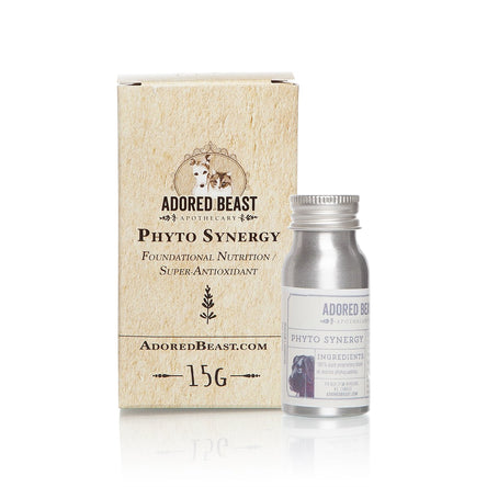 Adored Beast Phyto Synergy | Super Antioxidant (15g)