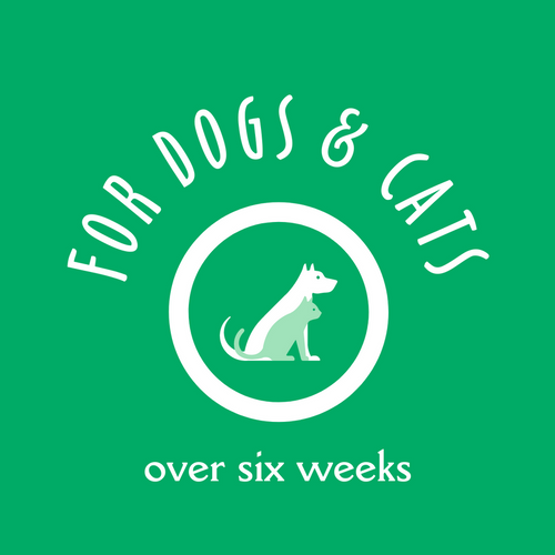 Earthbath Vanilla & Almond Oatmeal & Aloe Shampoo for Dogs and Cats (128 oz.)