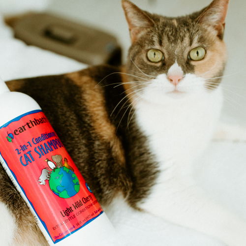 Earthbath 2-in-1 Conditioning Cat Shampoo (16 OZ / WILD CHERRY)