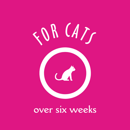 Earthbath 2-in-1 Conditioning Cat Shampoo (16 OZ / WILD CHERRY)