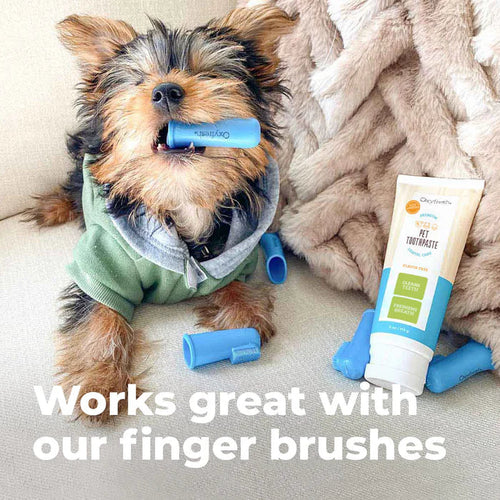 Oxyfresh Premium Pet Toothpaste - Best Way To Clean Pet Teeth & Remove Plaque with Finger Brush (1 Kit)