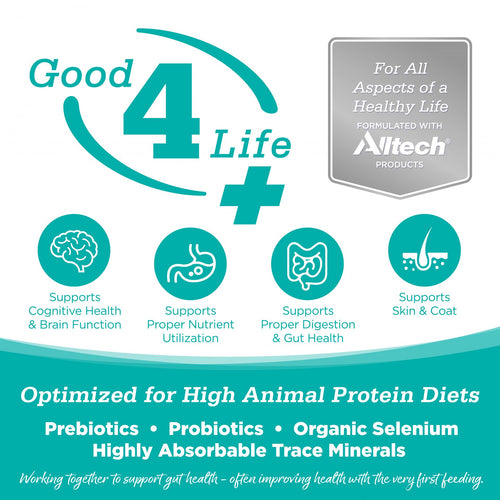 NutriSource® Element Series Classic Catch Grain Free Haddock, Trout & Cod Blend Cat Food (4 Lb)